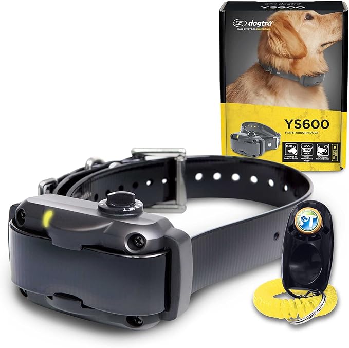 Best_Shock_Collar_for_ Large_Dogs