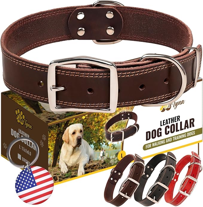 Best_Leather_Dog_Collars