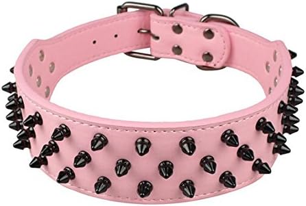 Best_Dog_Collars_for_ Boxers