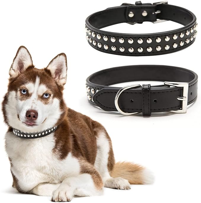 Best_Dog_Collars_for_ Huskies