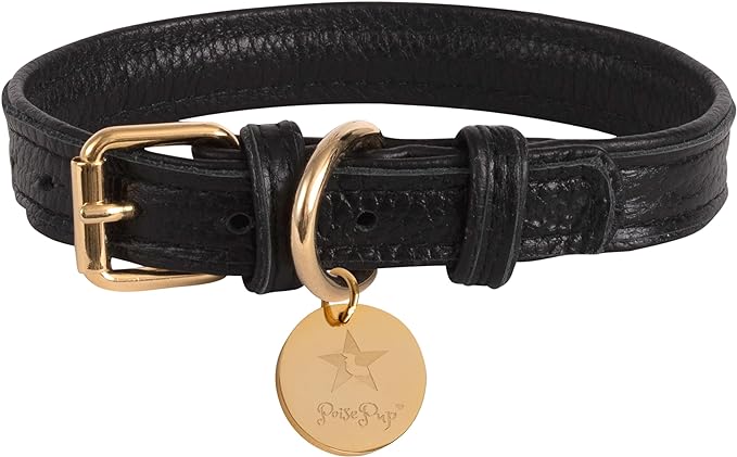 Best_Leather_Dog_Collars