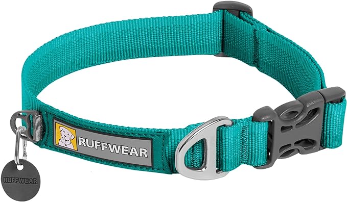 Best_Dog_Collars_for_ French_Bulldogs