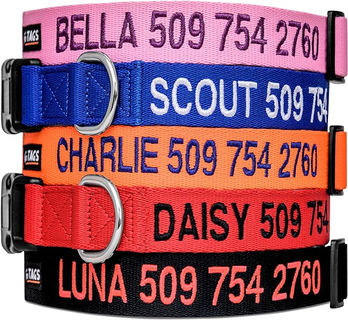 Best_Personalized_Dog_ Collars